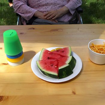 News-Praterpicknick_13-2024