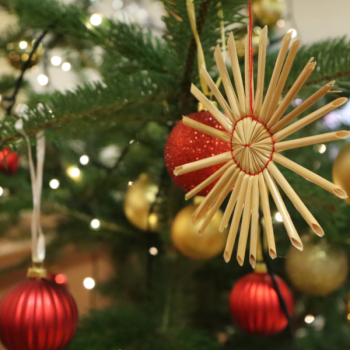 News_Nikolo & Christbaumschmücken-6.12.2024_16